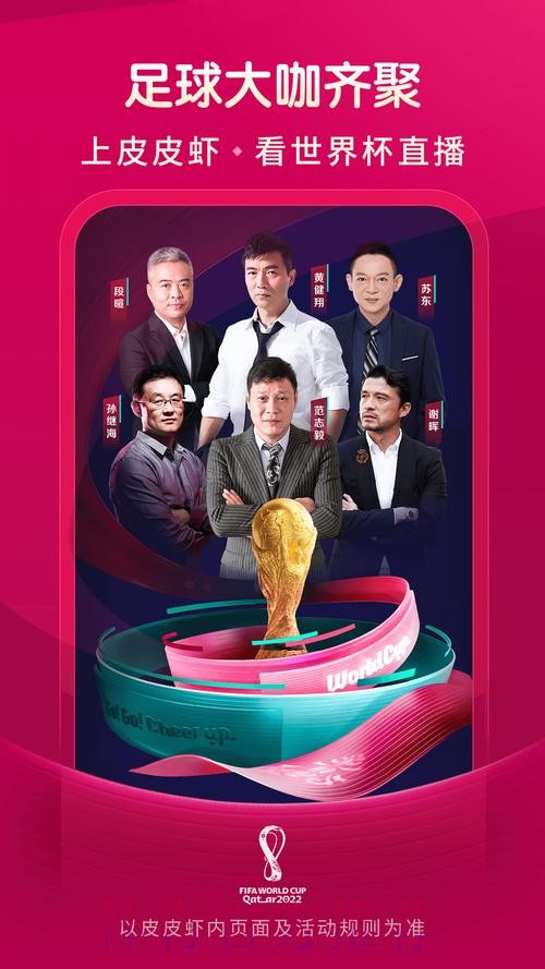 世界杯直播在线观看的最佳平台推荐