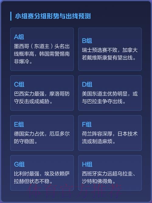 世界杯高清热门赛事深度解析